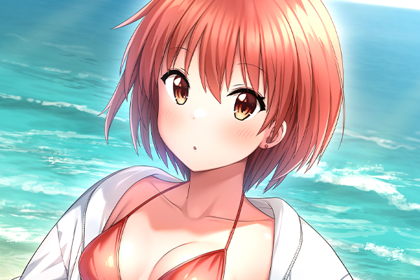 STEAM版额外内容下载